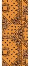 SET 2 pezzi BANDANA